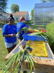 YDP preparing veggies