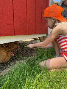 Girl feeding chickens