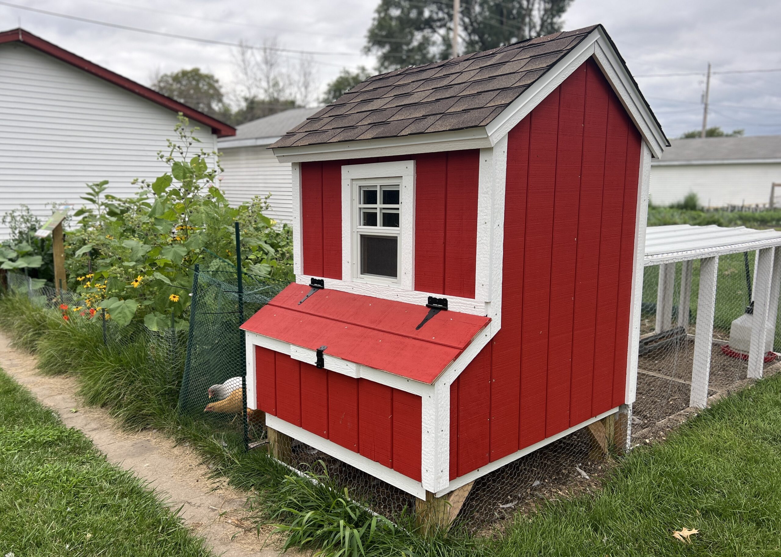 Bright red chicken coop next to garden bed